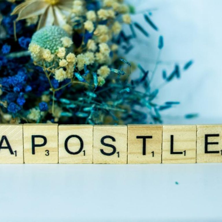 alex-shute-Cw6Wh_M7qNk-unsplash (1)