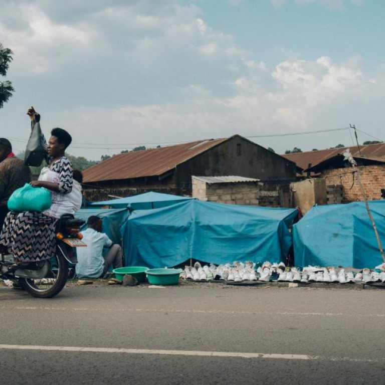 random-institute-kt9O6i7mLLA-unsplash (1)